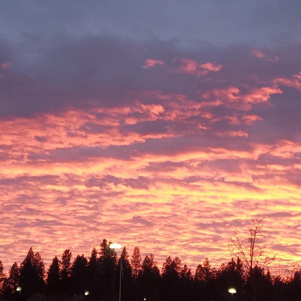 Meet your Posher, Saydi